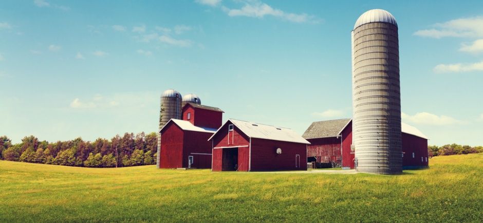 Photo of barn and silo